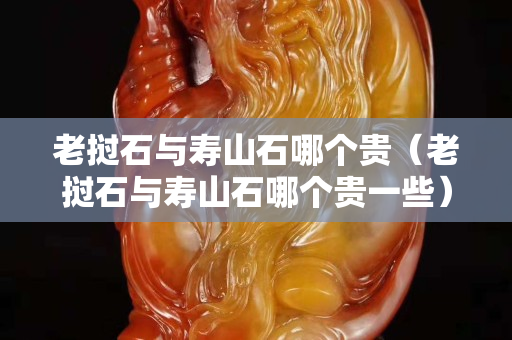老挝石与寿山石哪个贵（老挝石与寿山石哪个贵一些）