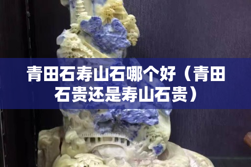 青田石寿山石哪个好（青田石贵还是寿山石贵）