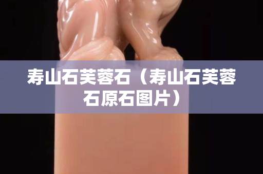 寿山石芙蓉石（寿山石芙蓉石原石图片）