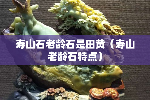 寿山石老龄石是田黄（寿山老龄石特点）
