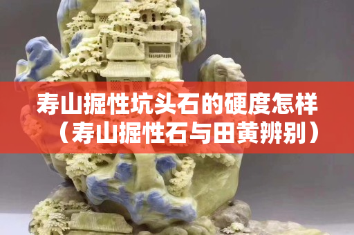 寿山掘性坑头石的硬度怎样（寿山掘性石与田黄辨别）