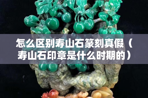 怎么区别寿山石篆刻真假（寿山石印章是什么时期的）