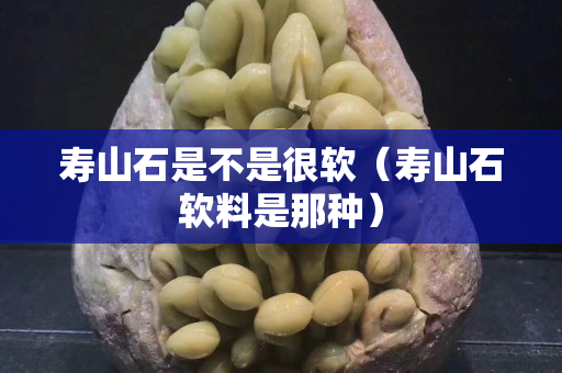 寿山石是不是很软（寿山石软料是那种）