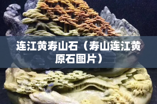连江黄寿山石（寿山连江黄原石图片）