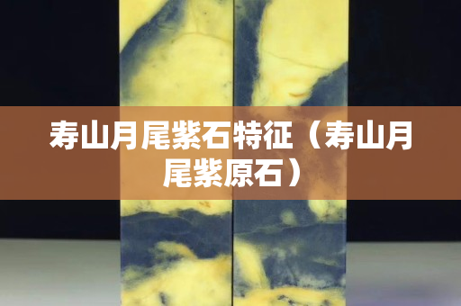 寿山月尾紫石特征（寿山月尾紫原石）