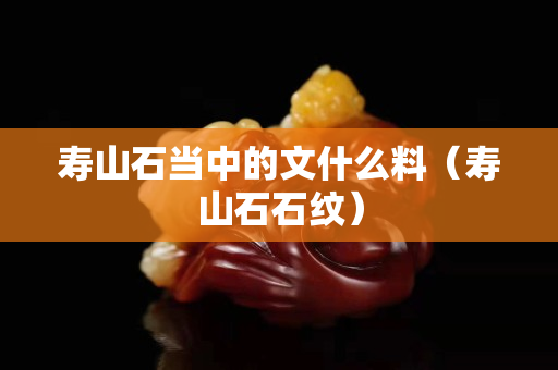 寿山石当中的文什么料（寿山石石纹）