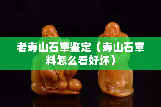 老寿山石章鉴定（寿山石章料怎么看好坏）