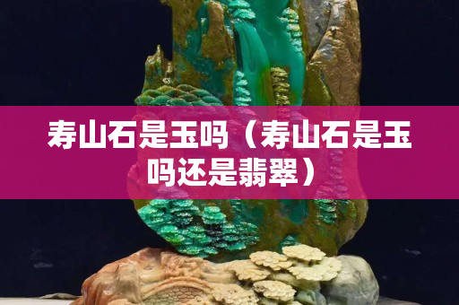 寿山石是玉吗（寿山石是玉吗还是翡翠）