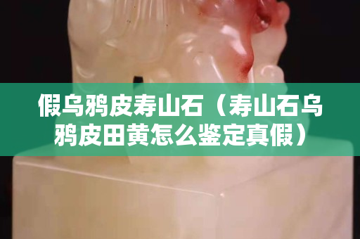假乌鸦皮寿山石（寿山石乌鸦皮田黄怎么鉴定真假）