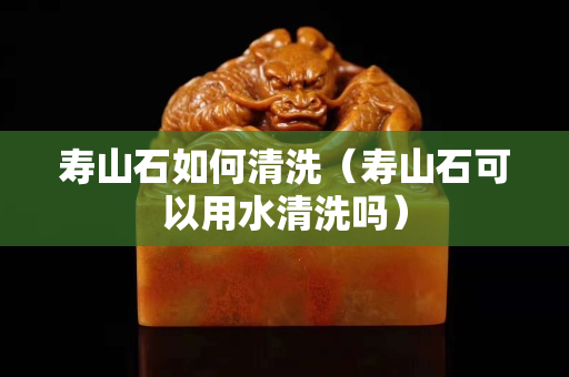 寿山石如何清洗（寿山石可以用水清洗吗）
