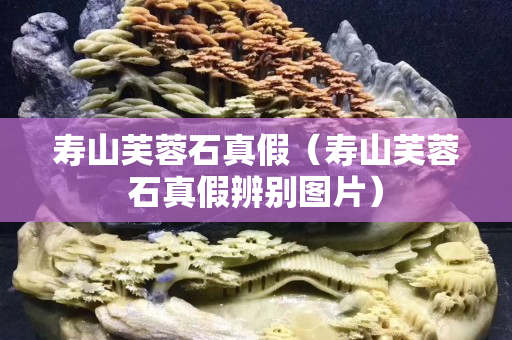 寿山芙蓉石真假（寿山芙蓉石真假辨别图片）