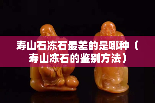 寿山石冻石最差的是哪种（寿山冻石的鉴别方法）
