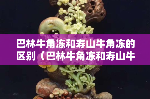 巴林牛角冻和寿山牛角冻的区别（巴林牛角冻和寿山牛角冻的区别图片）