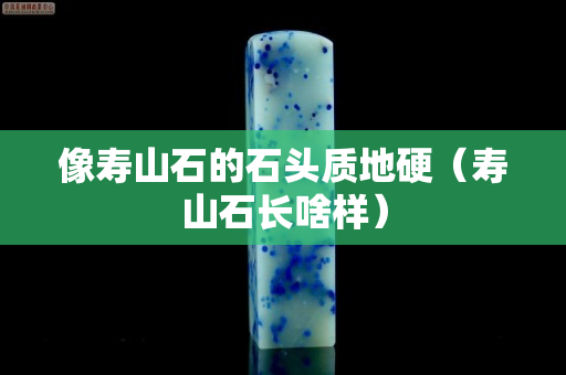 像寿山石的石头质地硬（寿山石长啥样）