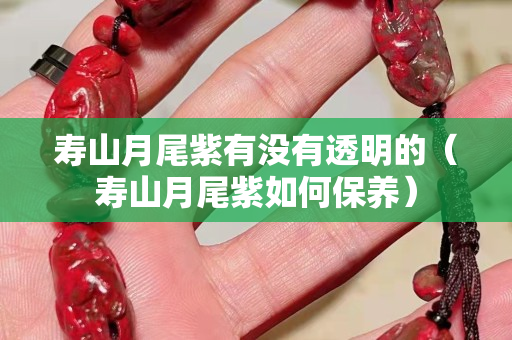 寿山月尾紫有没有透明的（寿山月尾紫如何保养）