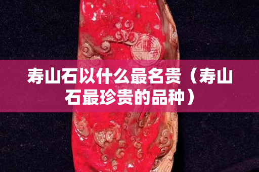 寿山石以什么最名贵（寿山石最珍贵的品种）