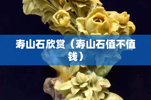 寿山石欣赏（寿山石值不值钱）