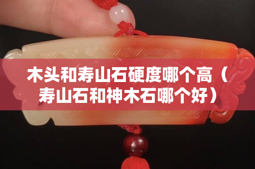 木头和寿山石硬度哪个高（寿山石和神木石哪个好）