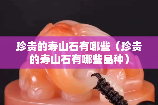 珍贵的寿山石有哪些（珍贵的寿山石有哪些品种）