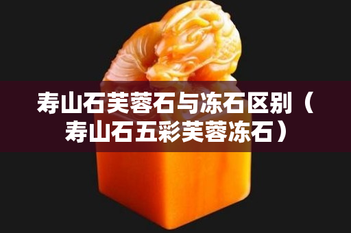 寿山石芙蓉石与冻石区别（寿山石五彩芙蓉冻石）