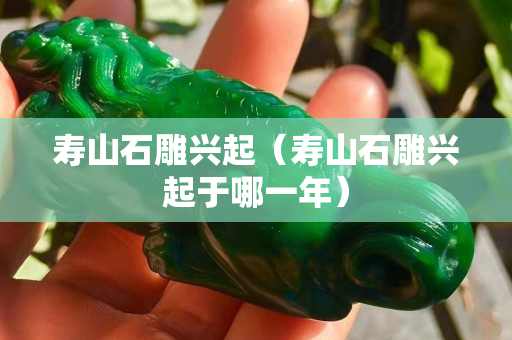 寿山石雕兴起（寿山石雕兴起于哪一年）
