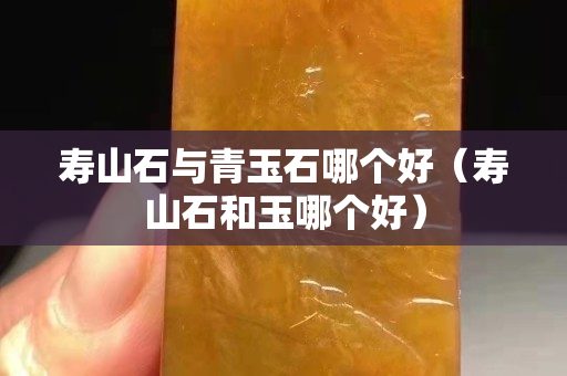寿山石与青玉石哪个好（寿山石和玉哪个好）