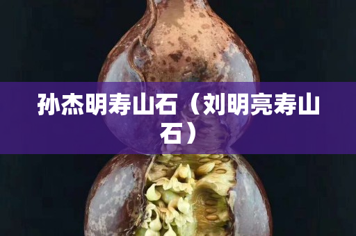 孙杰明寿山石（刘明亮寿山石）