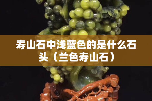 寿山石中浅蓝色的是什么石头（兰色寿山石）