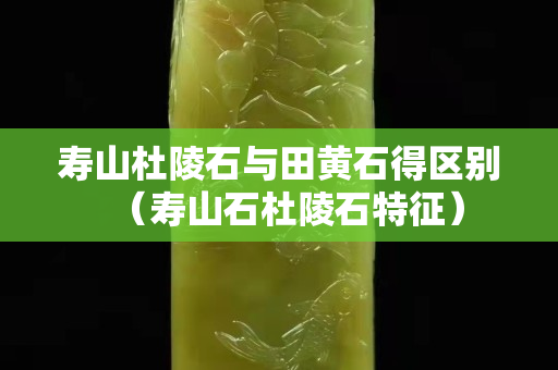 寿山杜陵石与田黄石得区别（寿山石杜陵石特征）