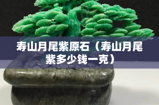 寿山月尾紫原石（寿山月尾紫多少钱一克）
