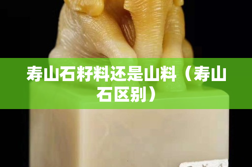 寿山石籽料还是山料（寿山石区别）