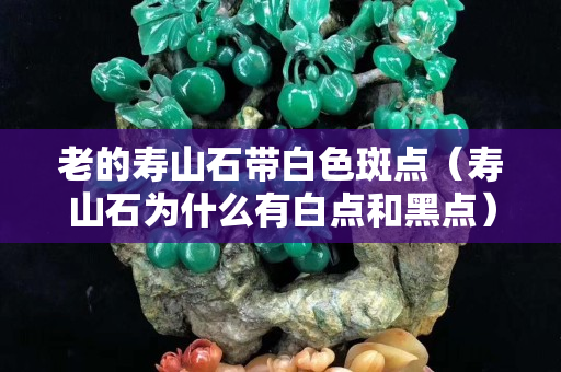 老的寿山石带白色斑点（寿山石为什么有白点和黑点）