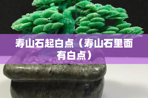 寿山石起白点（寿山石里面有白点）