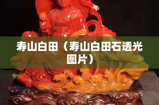 寿山白田（寿山白田石透光图片）
