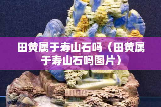 田黄属于寿山石吗（田黄属于寿山石吗图片）