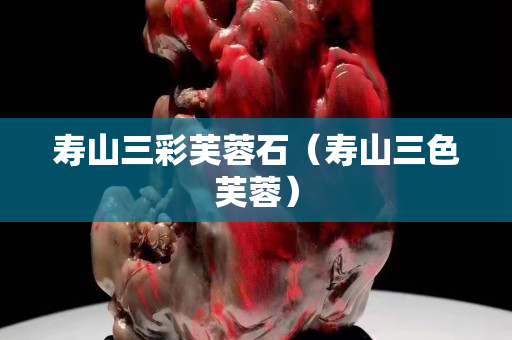 寿山三彩芙蓉石（寿山三色芙蓉）