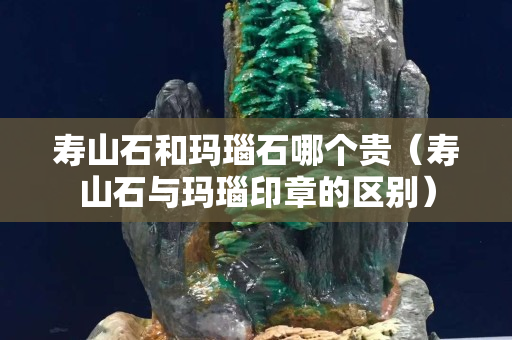 寿山石和玛瑙石哪个贵（寿山石与玛瑙印章的区别）