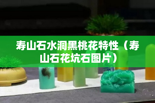 寿山石水洞黑桃花特性（寿山石花坑石图片）