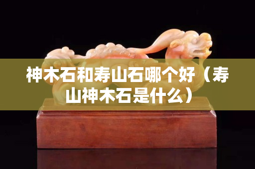 神木石和寿山石哪个好（寿山神木石是什么）