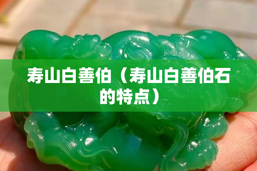 寿山白善伯（寿山白善伯石的特点）