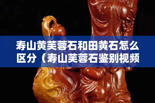 寿山黄芙蓉石和田黄石怎么区分（寿山芙蓉石鉴别视频）