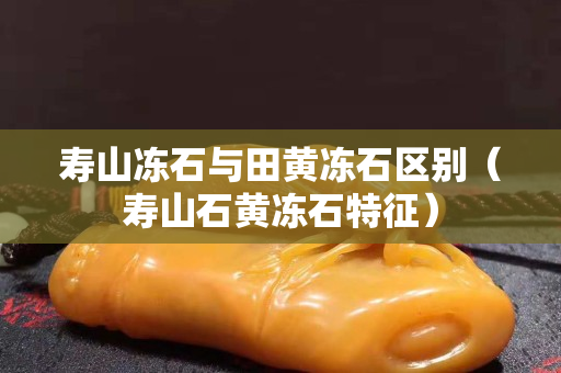 寿山冻石与田黄冻石区别（寿山石黄冻石特征）