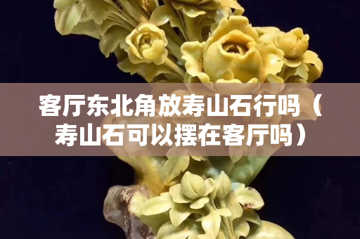 客厅东北角放寿山石行吗（寿山石可以摆在客厅吗）