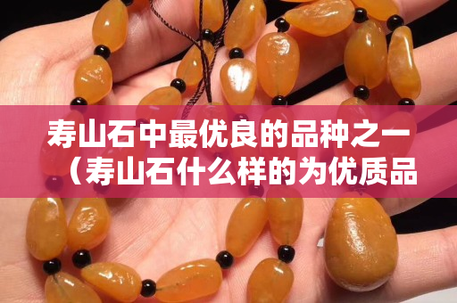 寿山石中最优良的品种之一（寿山石什么样的为优质品种？）