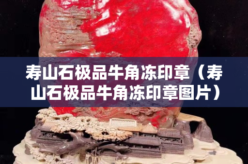 寿山石极品牛角冻印章（寿山石极品牛角冻印章图片）