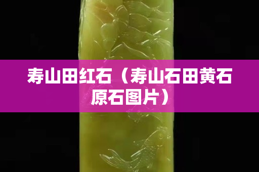 寿山田红石（寿山石田黄石原石图片）