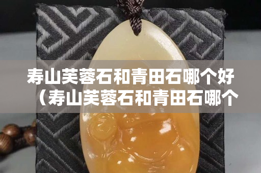 寿山芙蓉石和青田石哪个好（寿山芙蓉石和青田石哪个好一点）