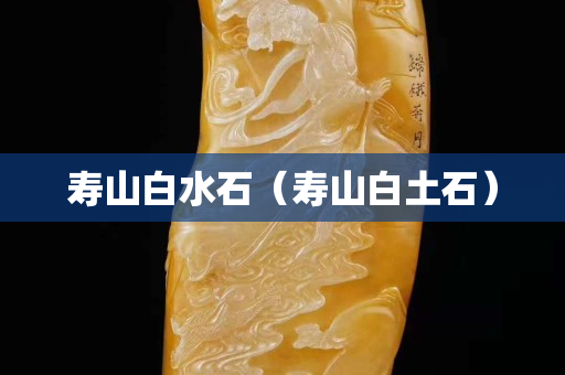 寿山白水石（寿山白土石）