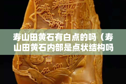 寿山田黄石有白点的吗（寿山田黄石内部是点状结构吗）
