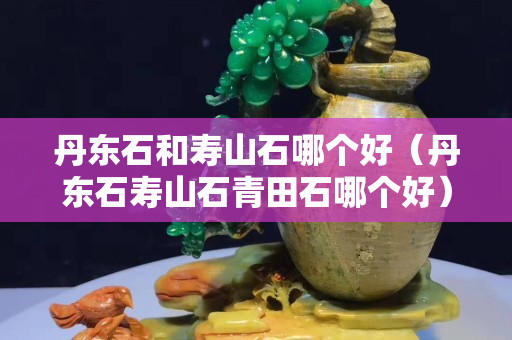 丹东石和寿山石哪个好（丹东石寿山石青田石哪个好）